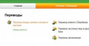 Wir zahlen mit einer Sberbank-Kreditkarte: Zahlungsfunktionen